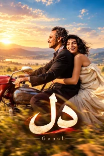 پوستر فیلم دل Gonul