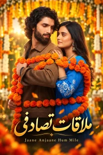 پوستر سریال ملاقات تصادفی Jaane Anjaane Hum Mile